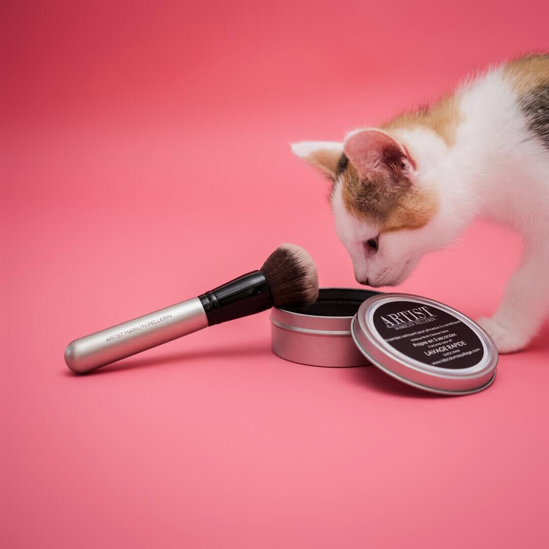 Pinceaux et éponges pour le teint