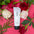 Image de la Crème hydratante à base de jojoba ARTIST 120ml
