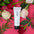 Image de la Crème hydratante à la mangue ARTIST 120ml
