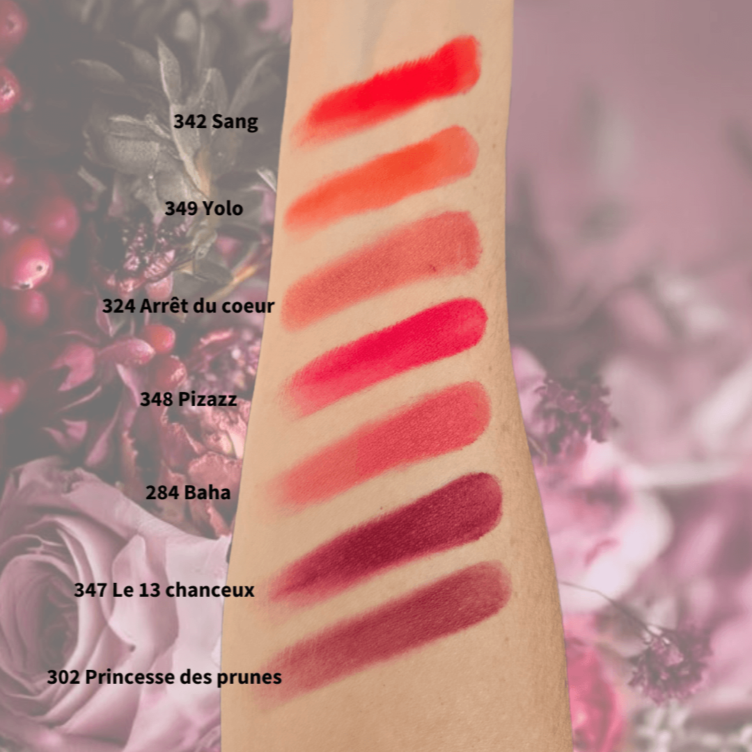 Image des échantillons de couleur des fards à joues poudre ARTIST Rouge