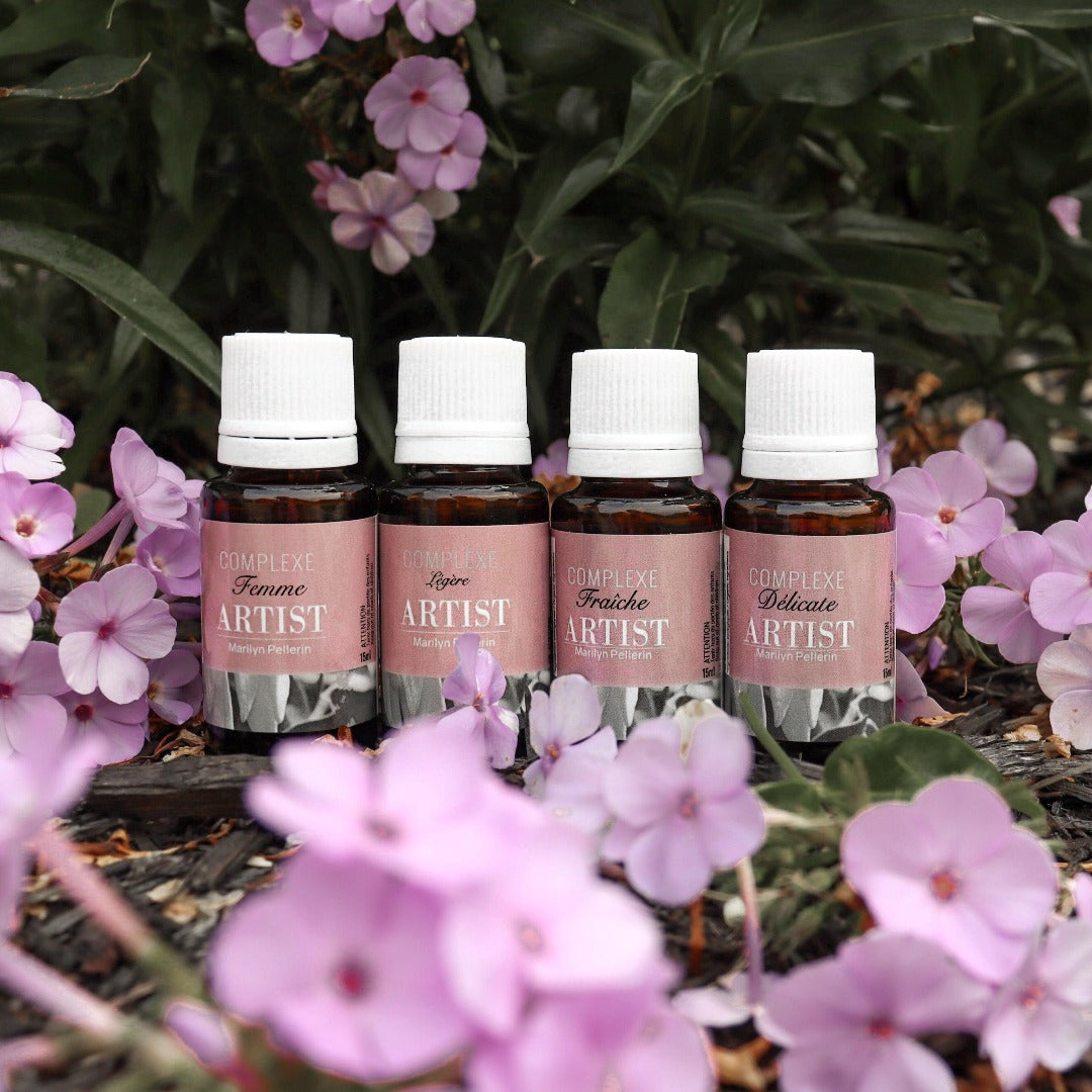 Image de l'Ensemble 4 complexes ARTIST