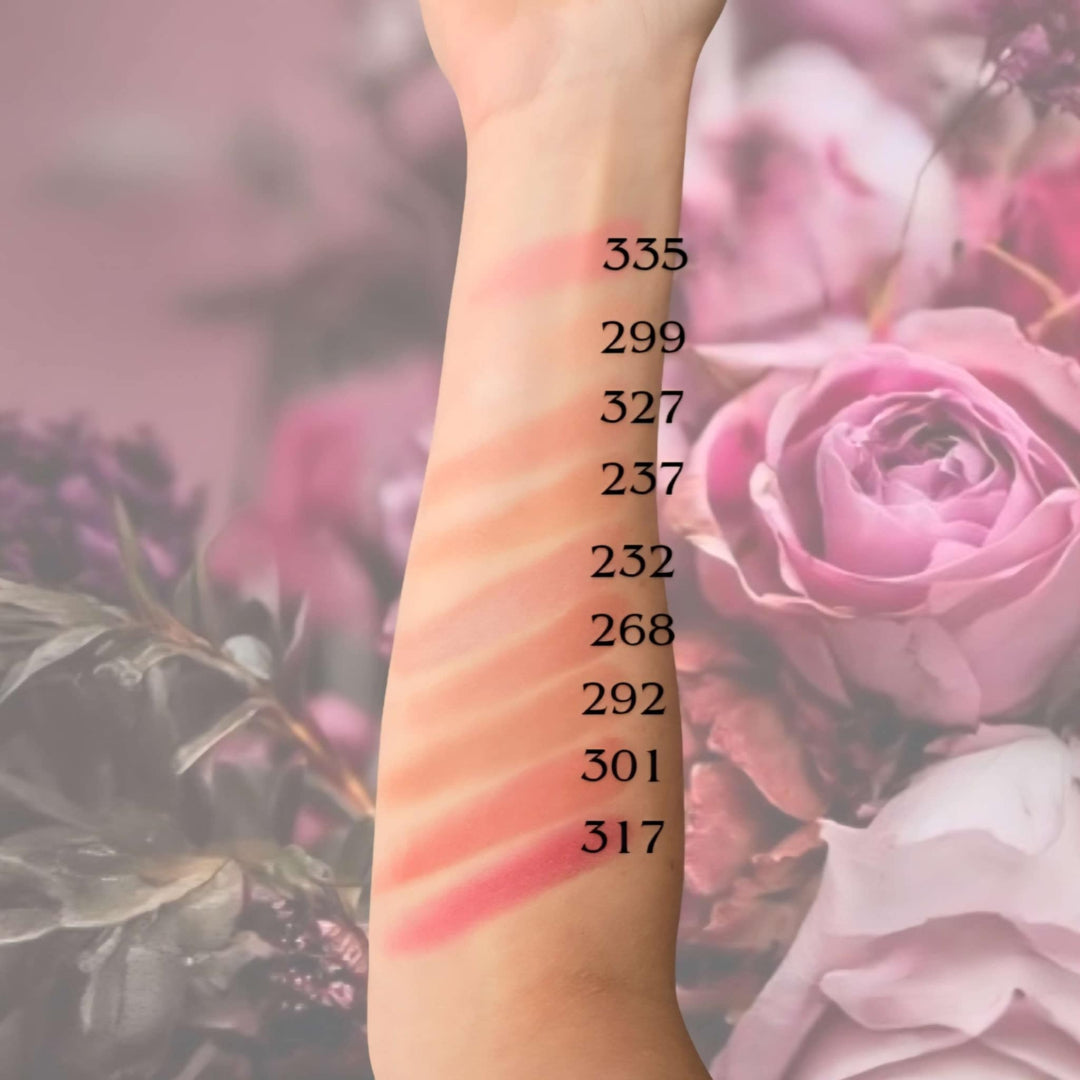 Échantillonnage de couleurs des Fards à joues en poudre Neutre ARTIST