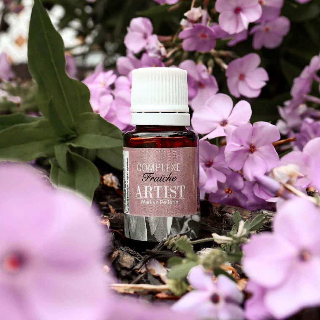 Image du complexe fraiche ARTIST