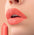 Image Vignette 528