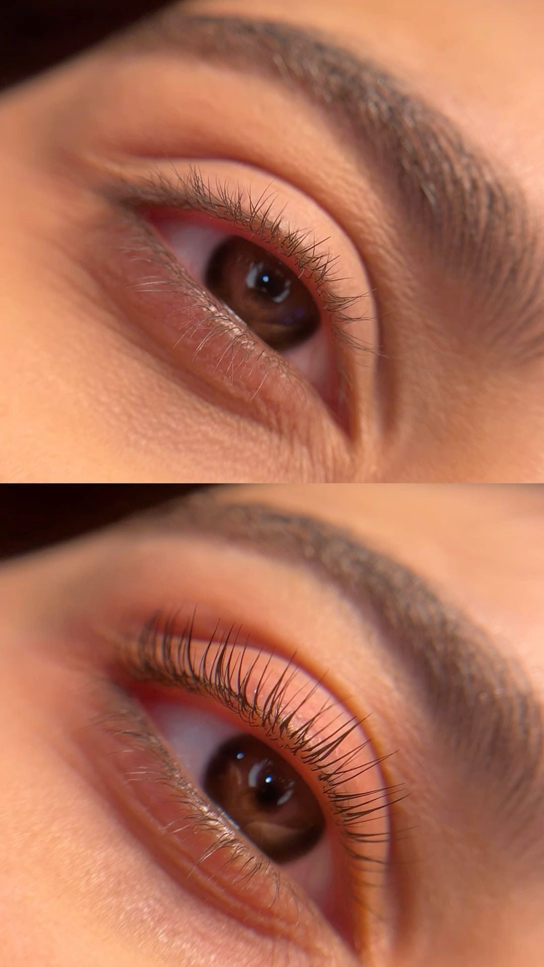 avant après avoir utilisé le sérum à cils et sourcils ARTIST